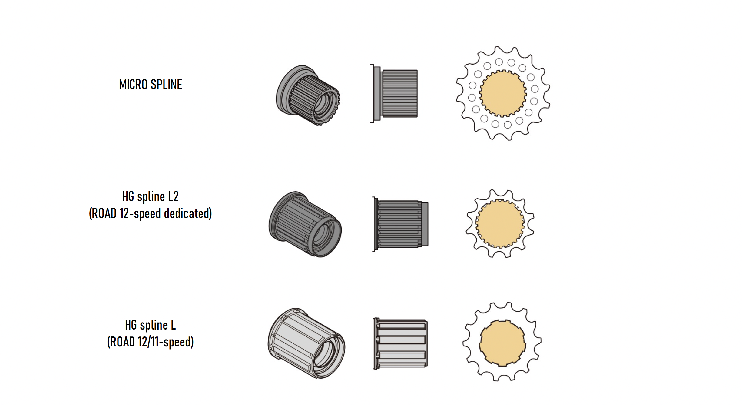 Introducing Shimano GRX Mechanical 12-Speed Components – Josh Weinberg ...