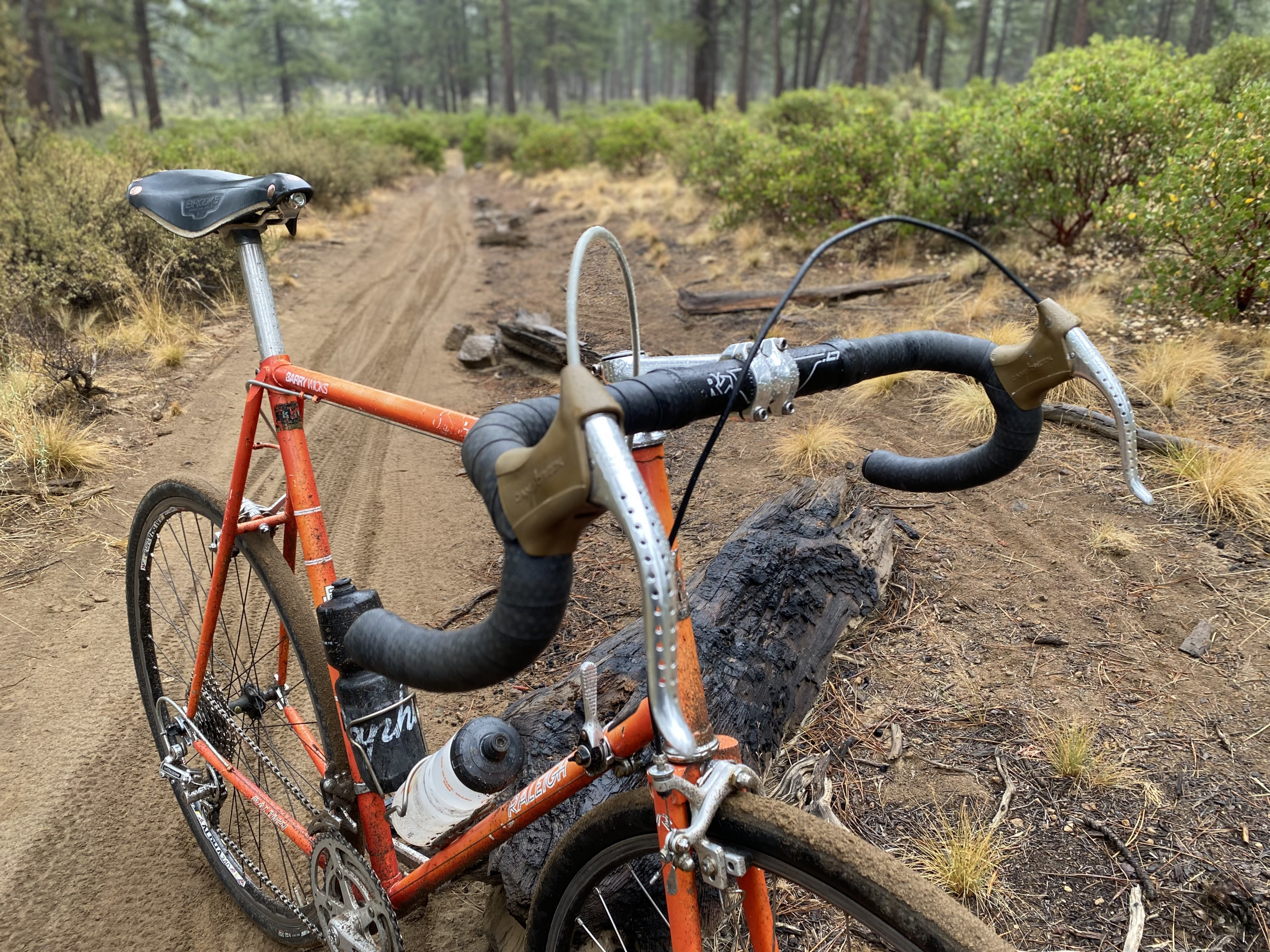 Readers' Rides: Barry Wicks Underbiking World Championships