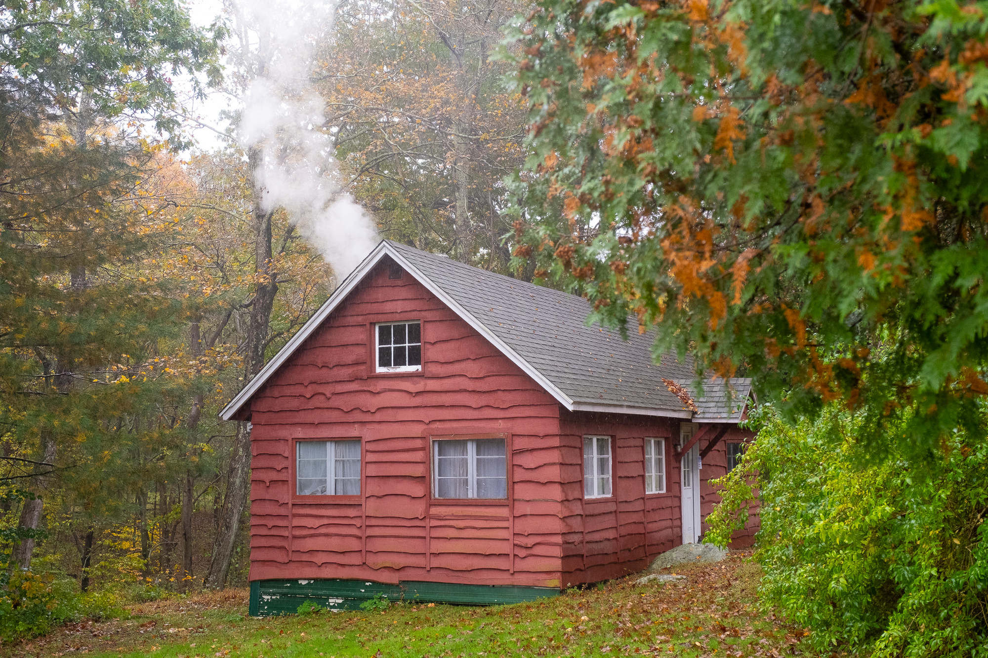 The 2023 Nutmeg Nor’Easter A Fine Time in the Forest for Friends and