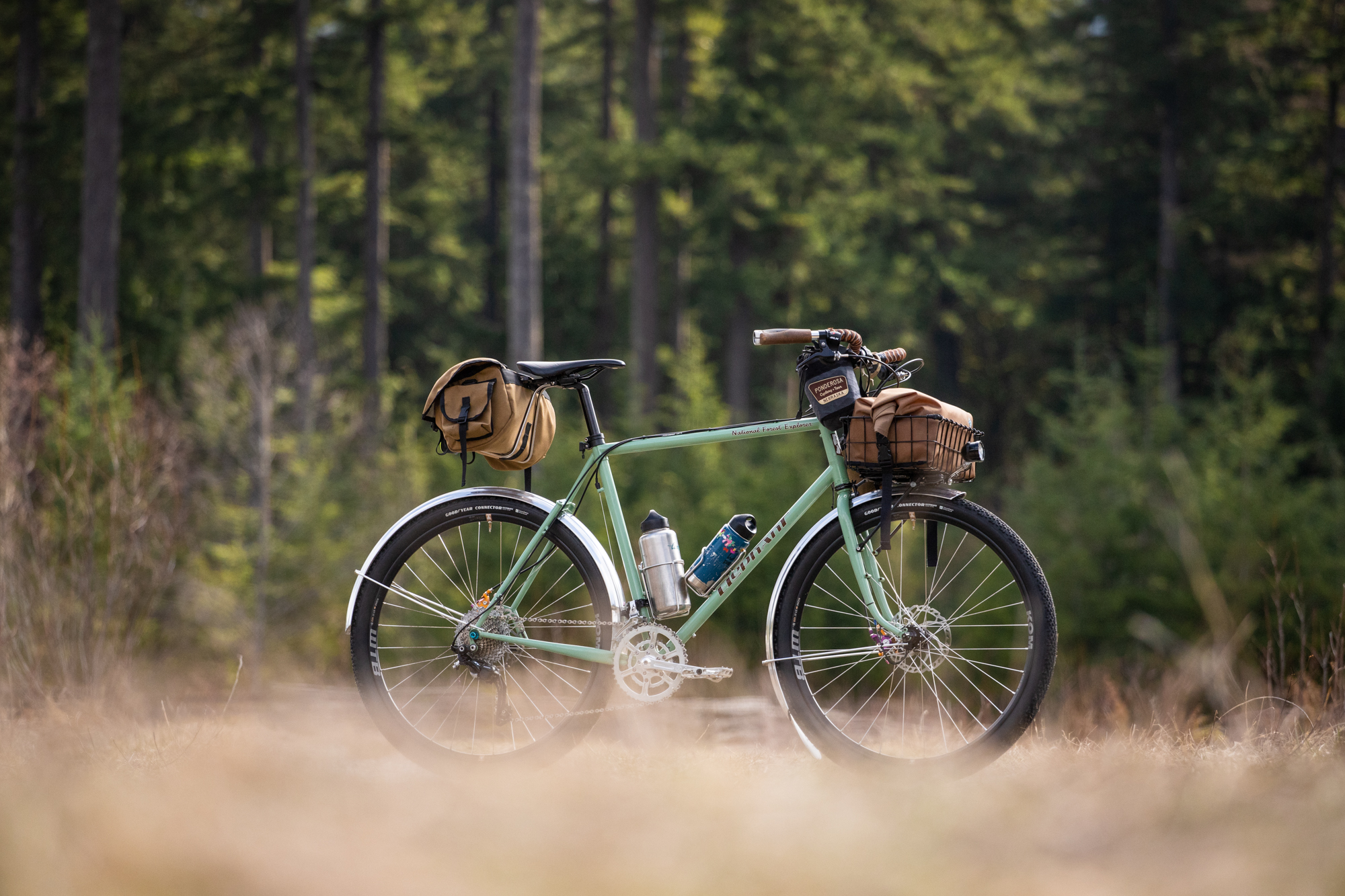 The Search for the Perfect Noodle: An Elephant Bikes National Forest ...