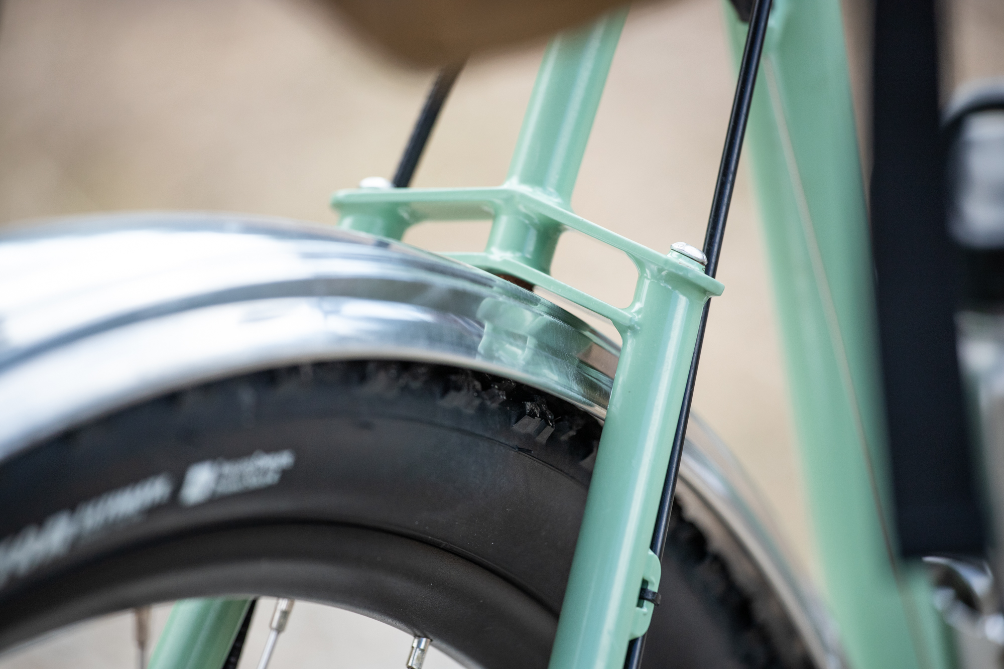 The Search for the Perfect Noodle: An Elephant Bikes National Forest ...