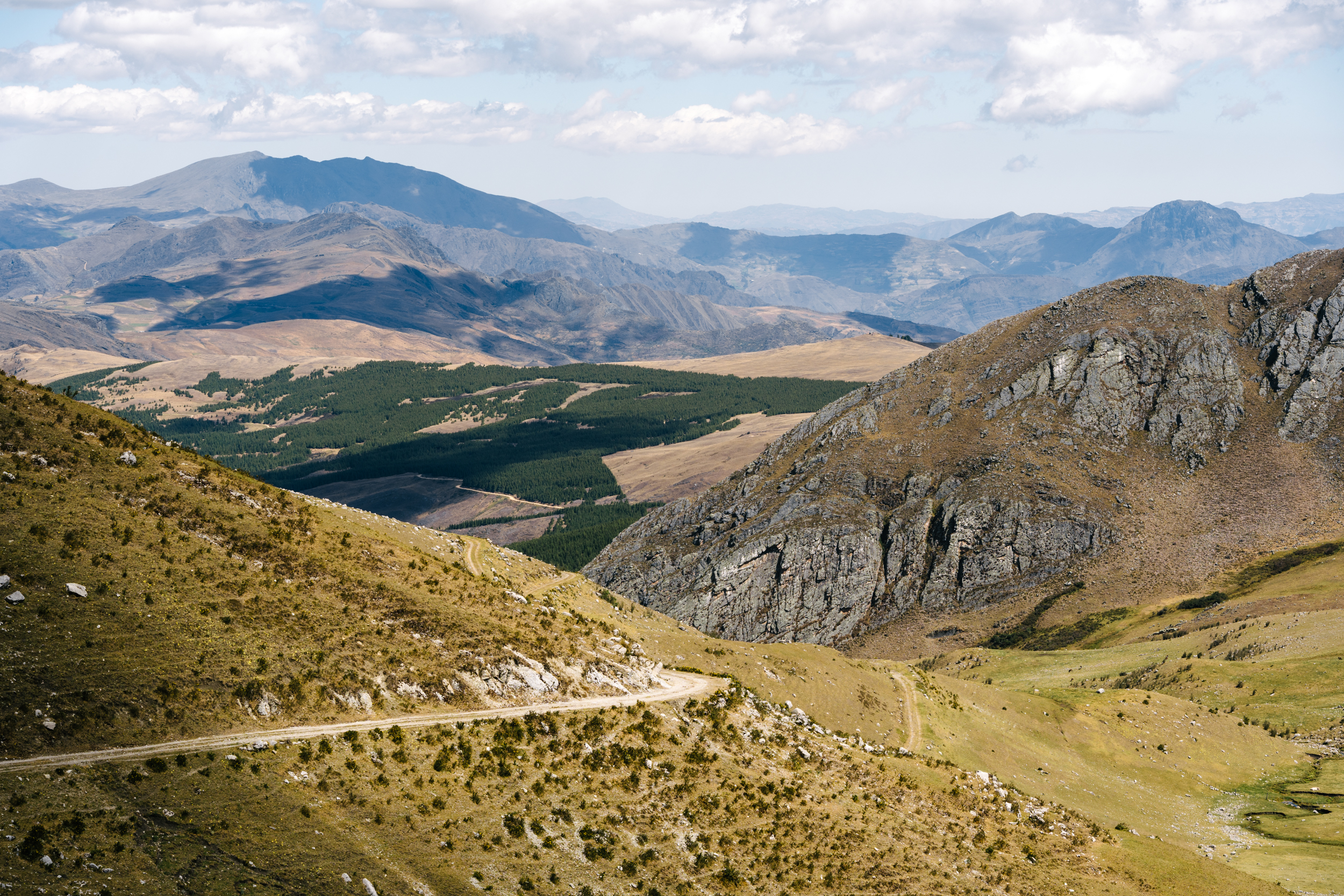Hunting Double Track in Peru’s Sunchubamba Reserve: The Road to Nowhere ...
