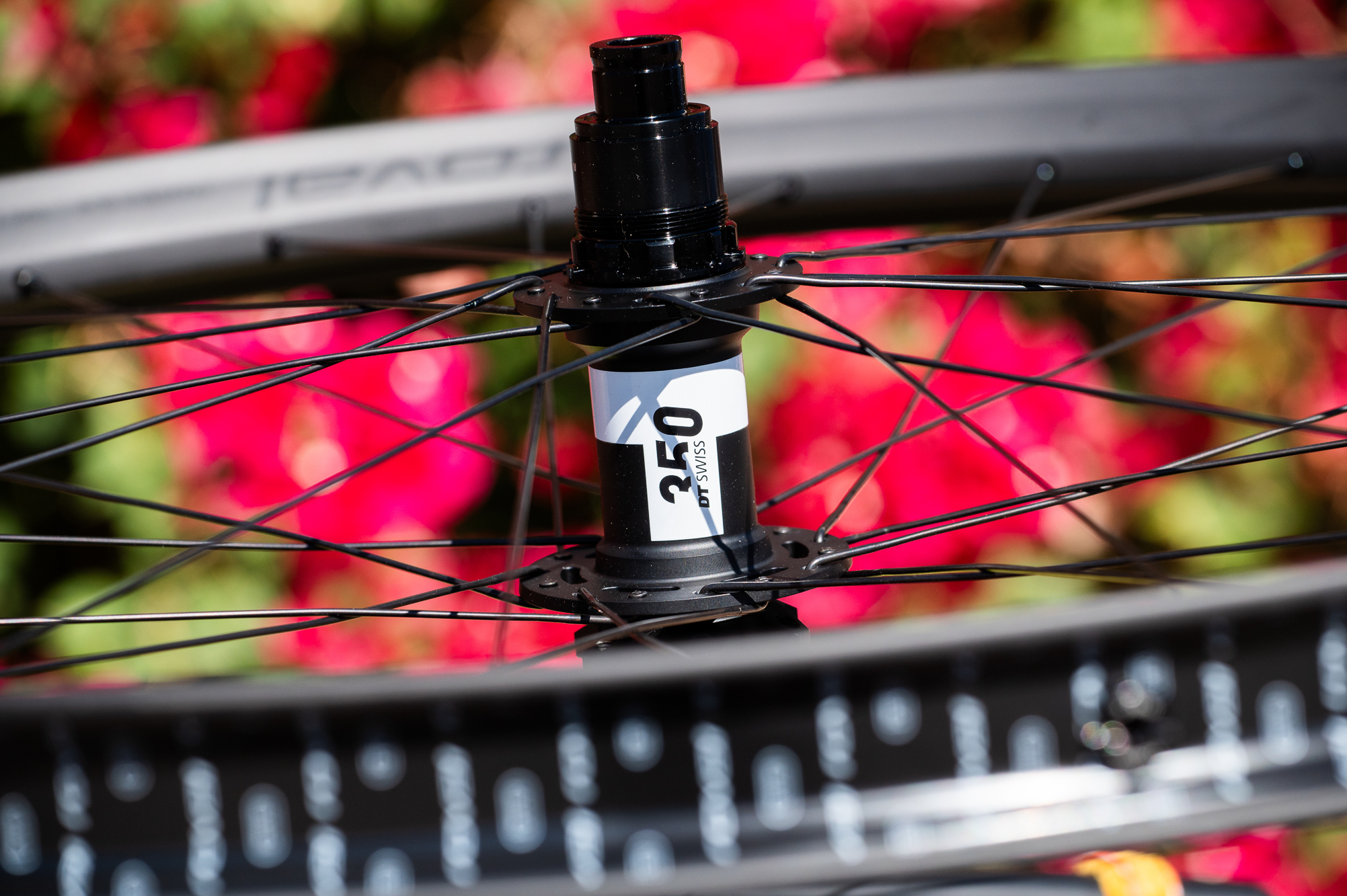 Roval Traverse SLII Wheelset Review: More Than A Threaded Rim – Spencer ...