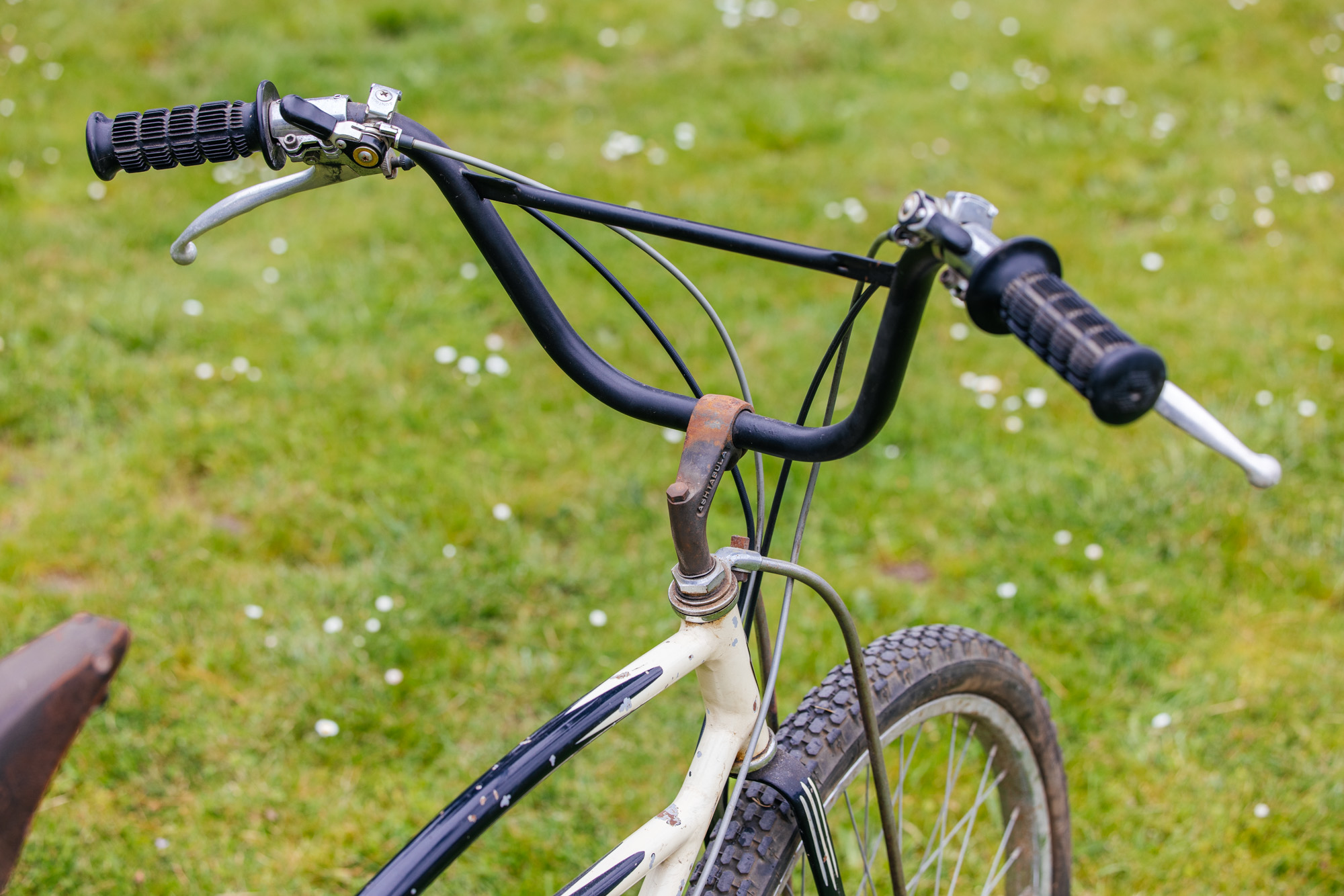 History of Mountain Bike Evolution Show Bicycle Taxonomy john watson