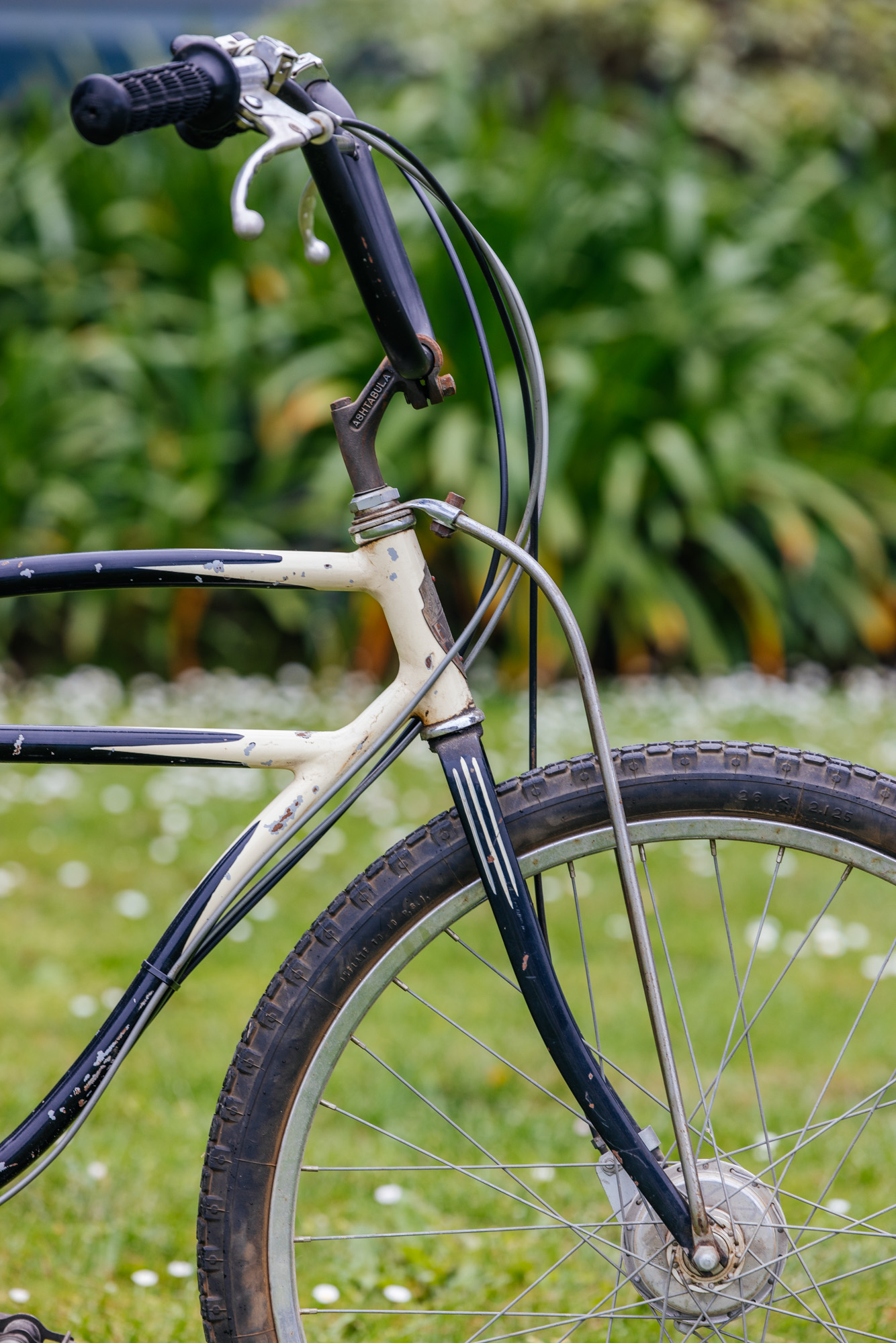 History of Mountain Bike Evolution Show Bicycle Taxonomy john watson