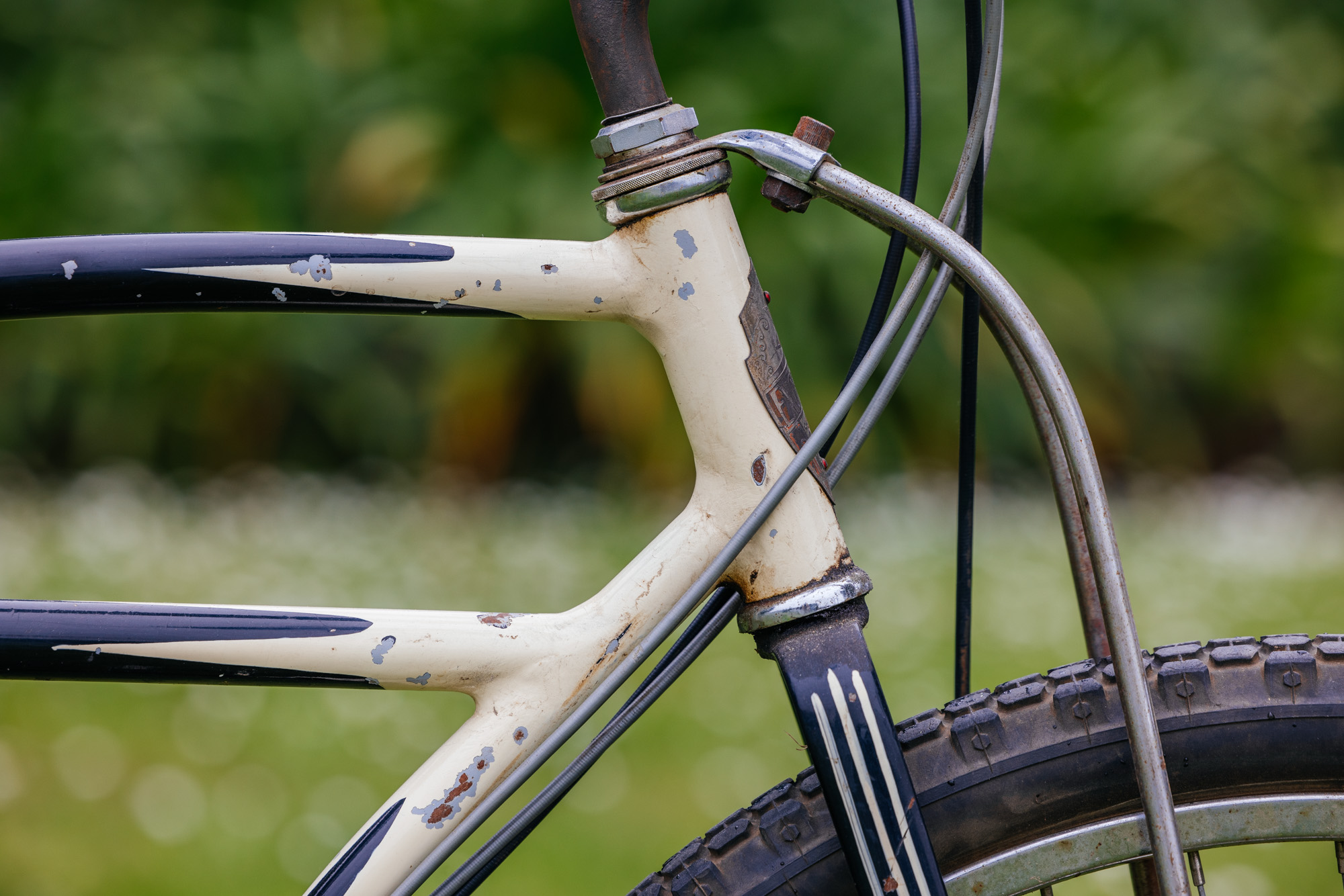 History of Mountain Bike Evolution Show Bicycle Taxonomy john watson