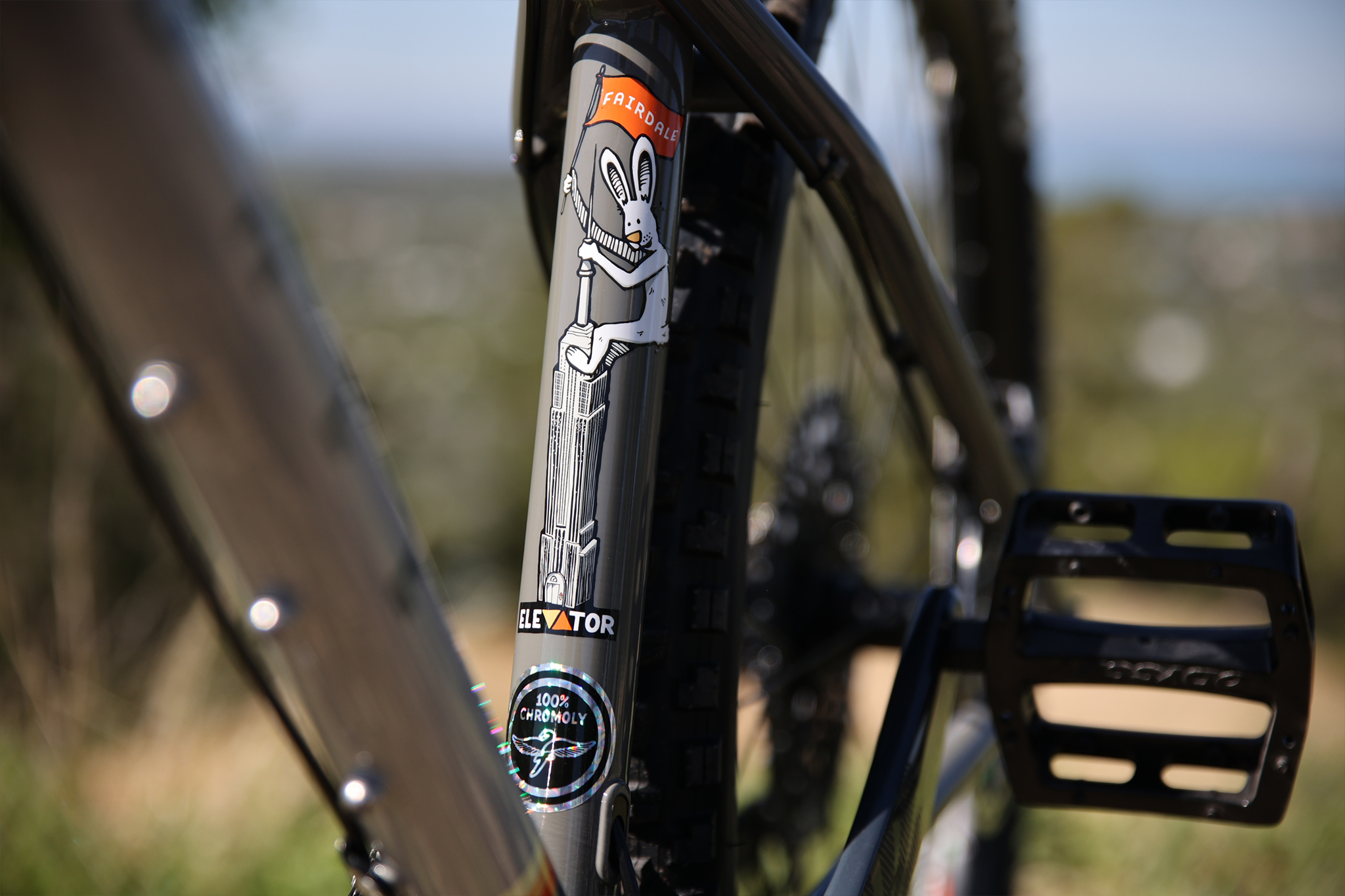Fairdale Elevator 29er Hardtail MTB | The Radavist | A group of