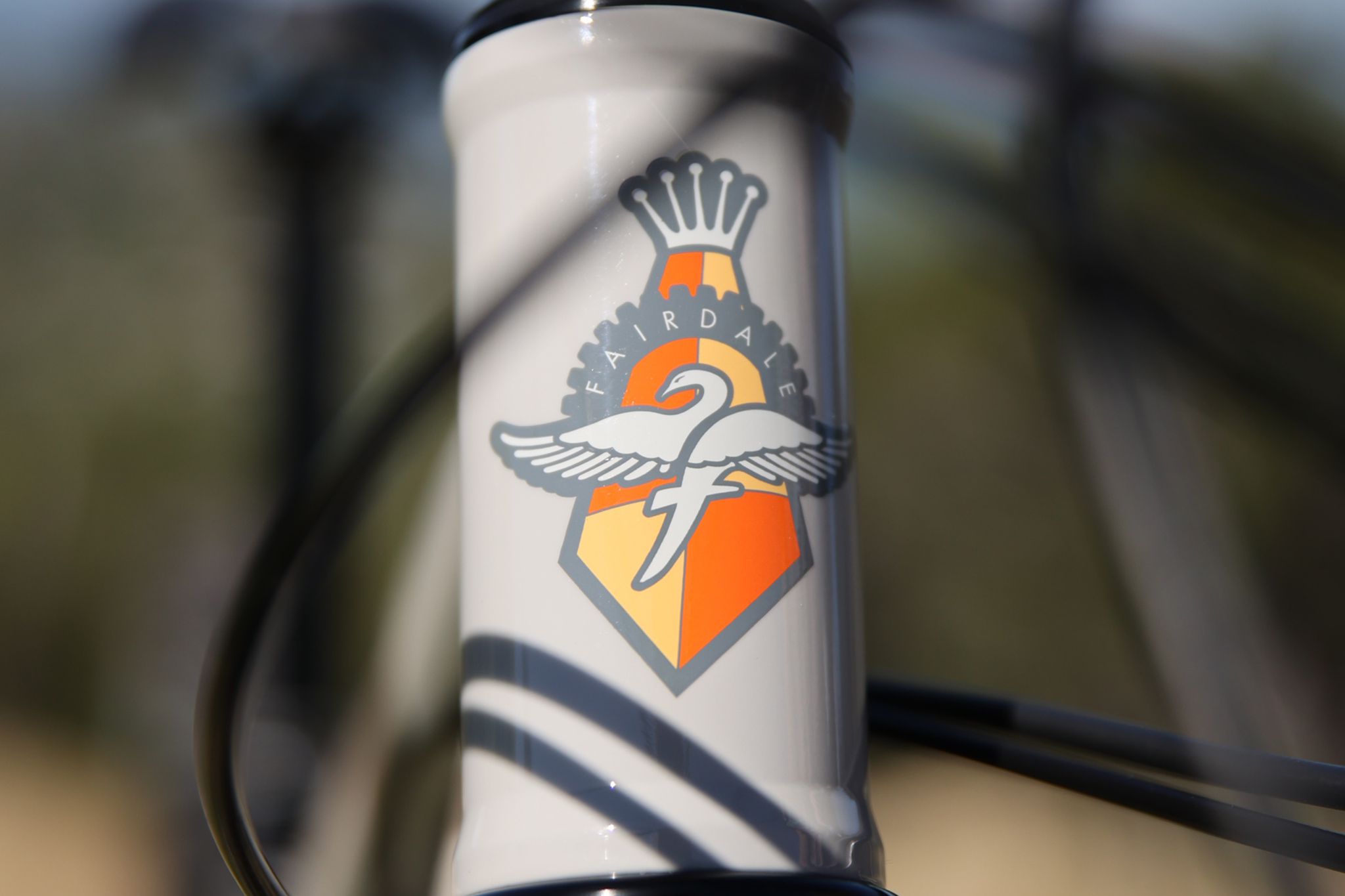 Fairdale Elevator 29er Hardtail MTB | The Radavist | A group of