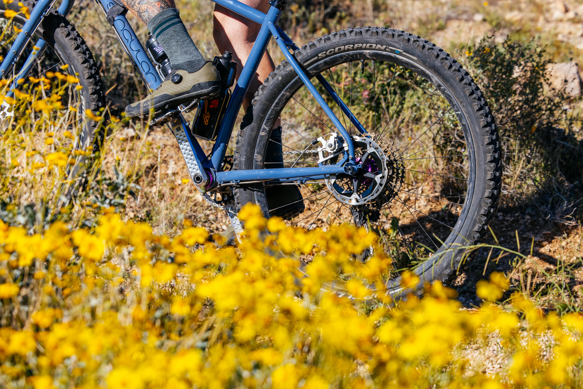 Singular Cycles Swift MK5 Review: 29+ Ain’t Dead – Josh Weinberg | The ...