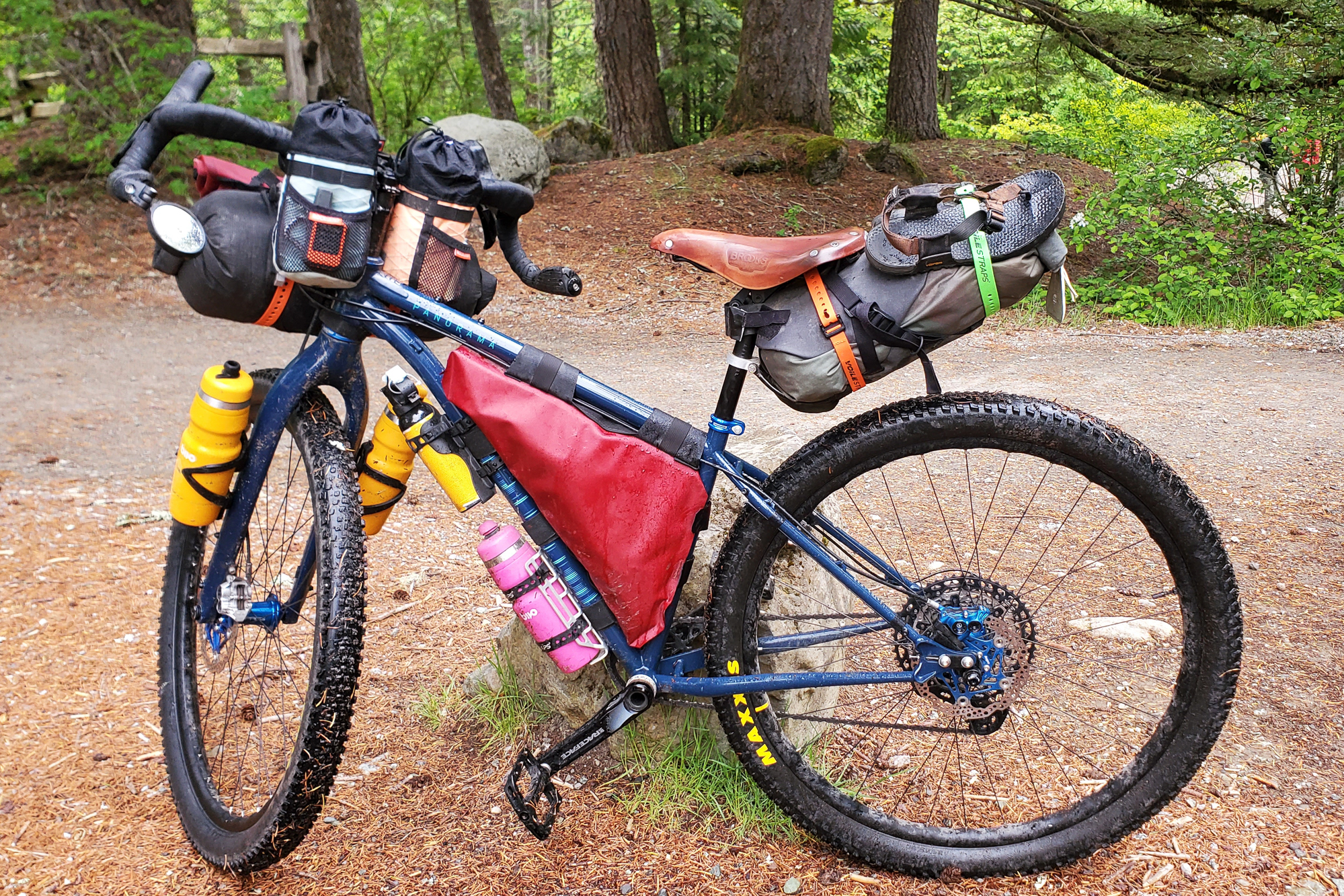 Reader's Ride: Ali's Panorama Taiga EXP and Poem – Ali Becker