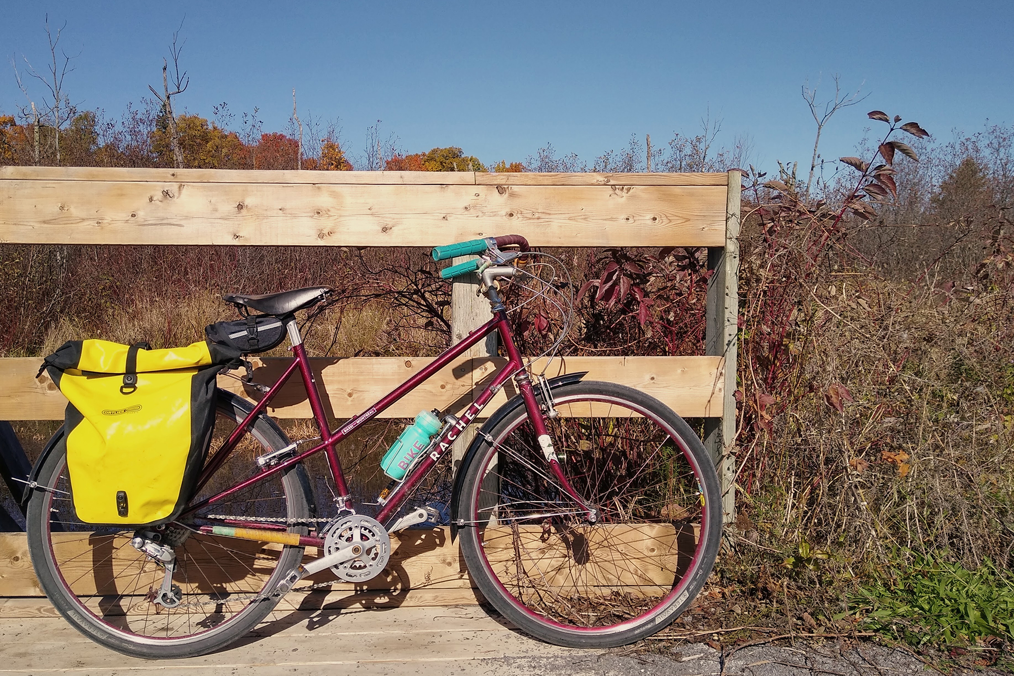 Readers' Rides: Juniper's Bassi Rachel Everything Bike | The