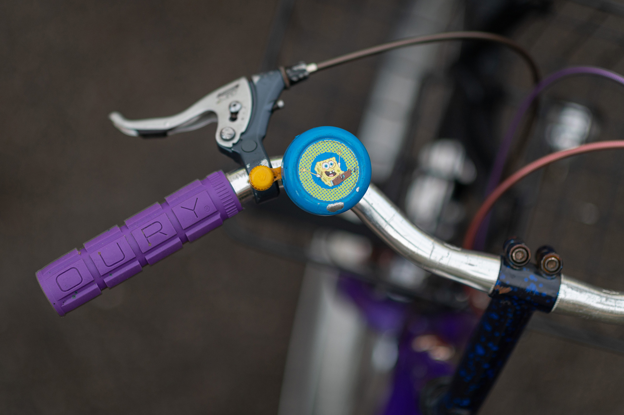 Readers' Rides: Wayne from Tailwind Cyclery's '88 Raleigh Chinook