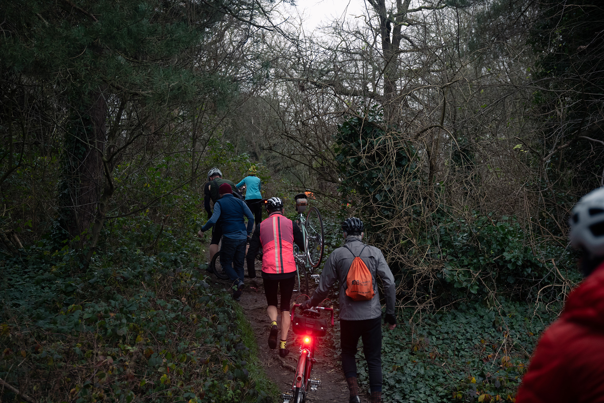 Condor Cycles Bivio + Review: All Steel, All-Rounder, All Normal Bike ...