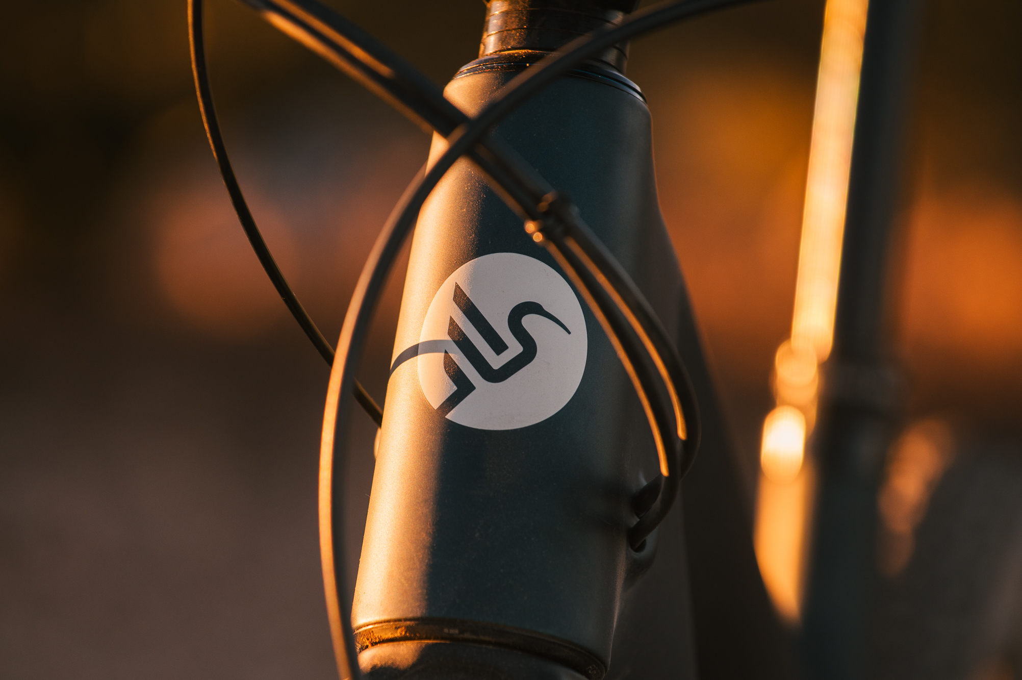 Ibis Ripley V5 Review: Downcountry is Dead – Spencer Harding | The