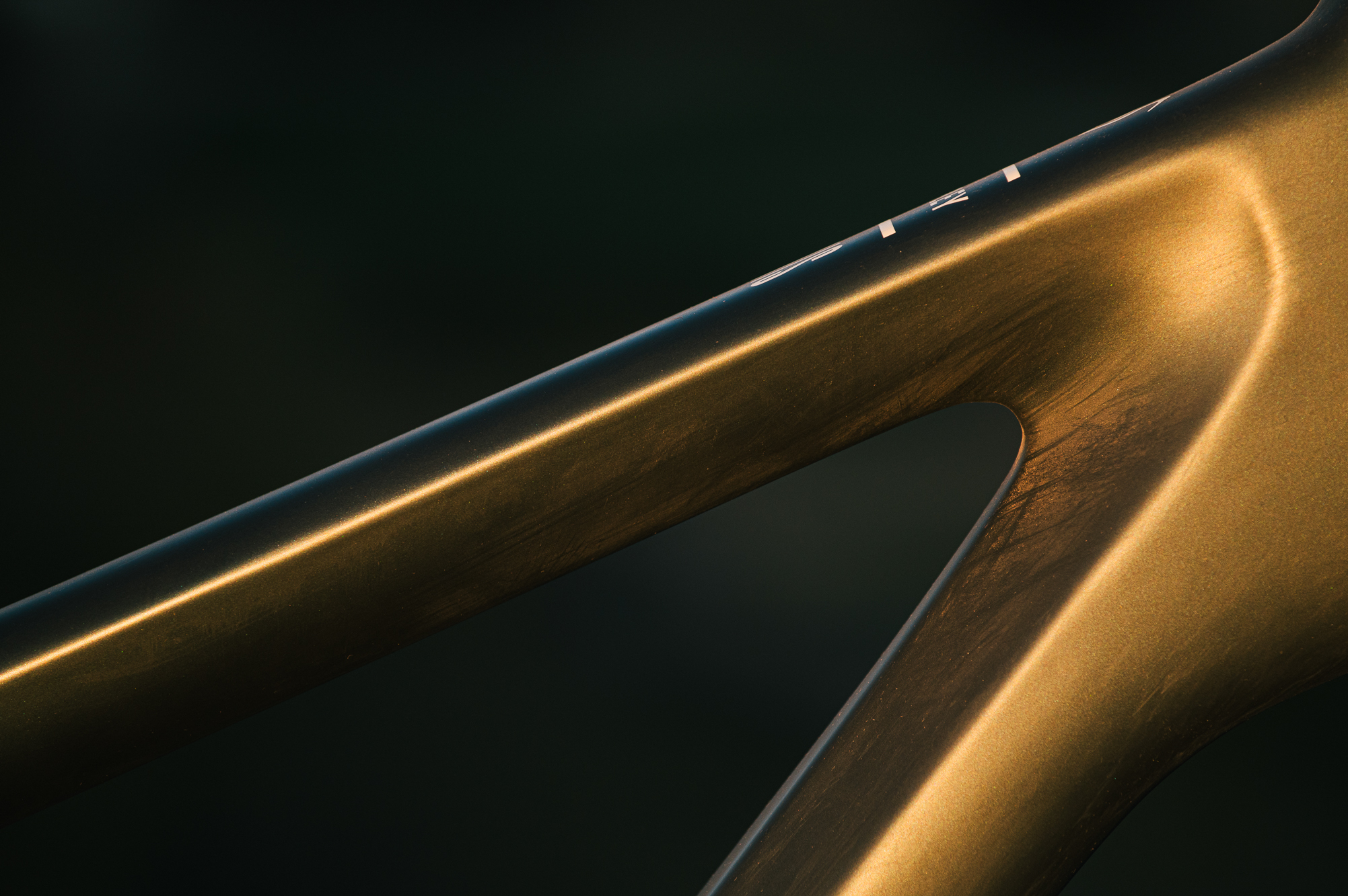Ibis Ripley V5 Review: Downcountry is Dead – Spencer Harding | The