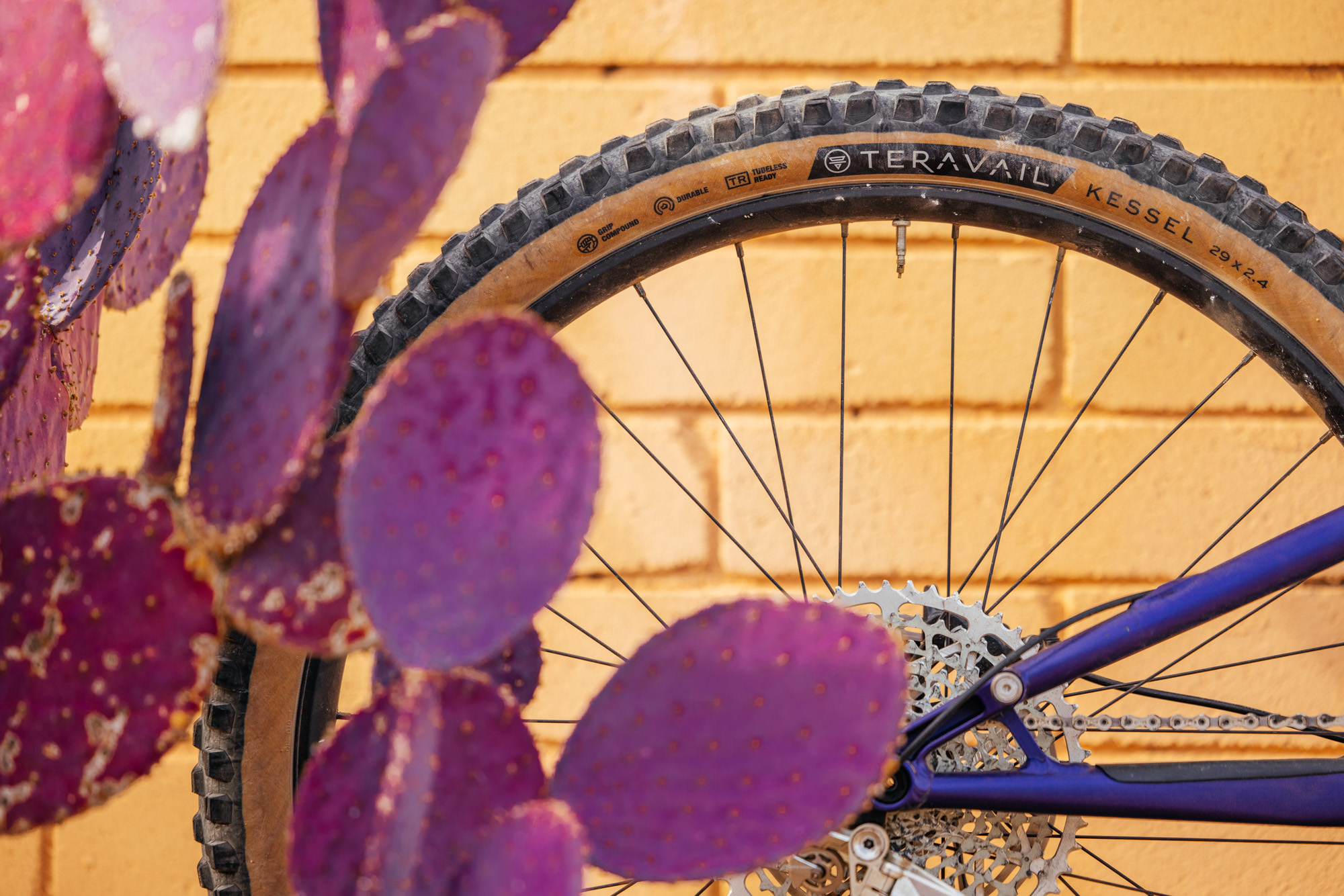 Chris King MTN30 AL Review: Made in USA Aluminum Rims – John