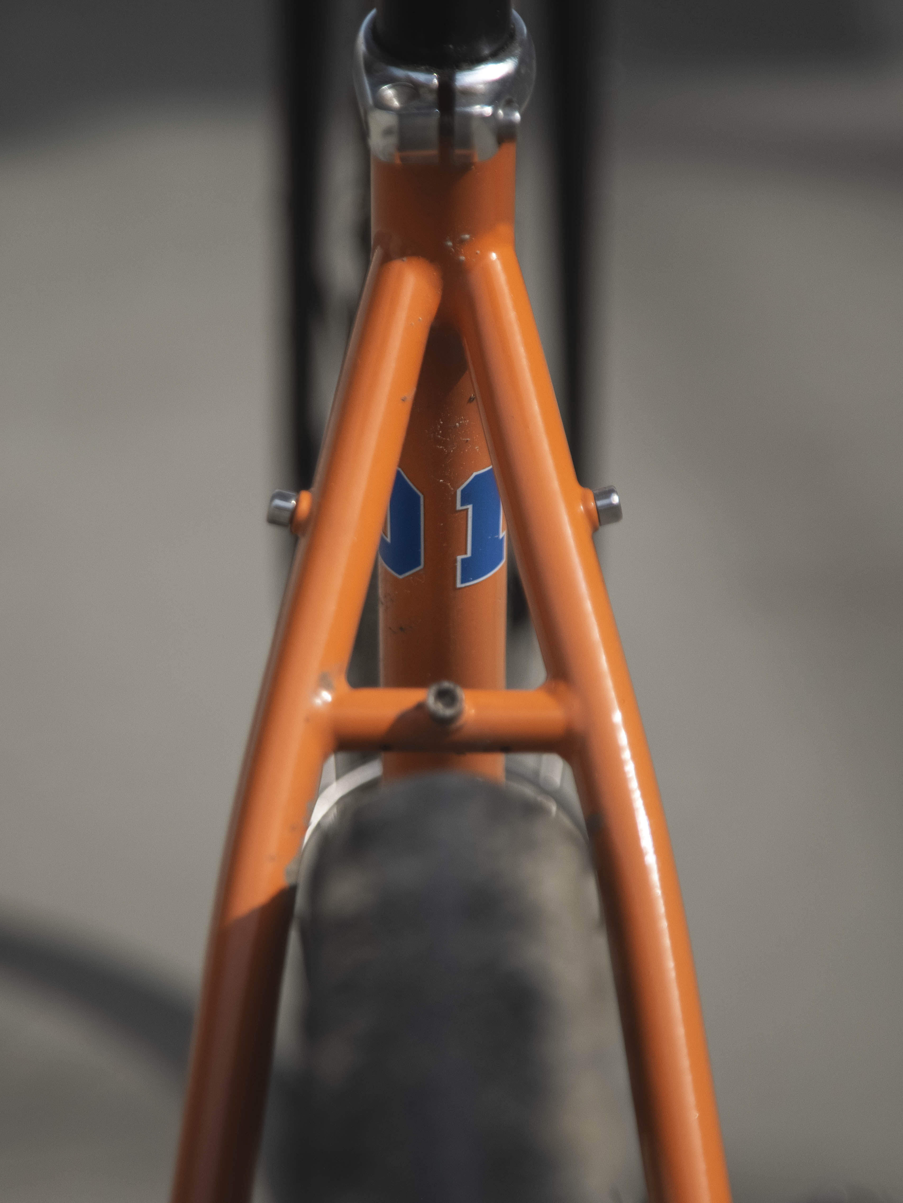 Readers’ Rides: Topher’s Salsa Vaya – The Cockroach of Gravel Bikes ...