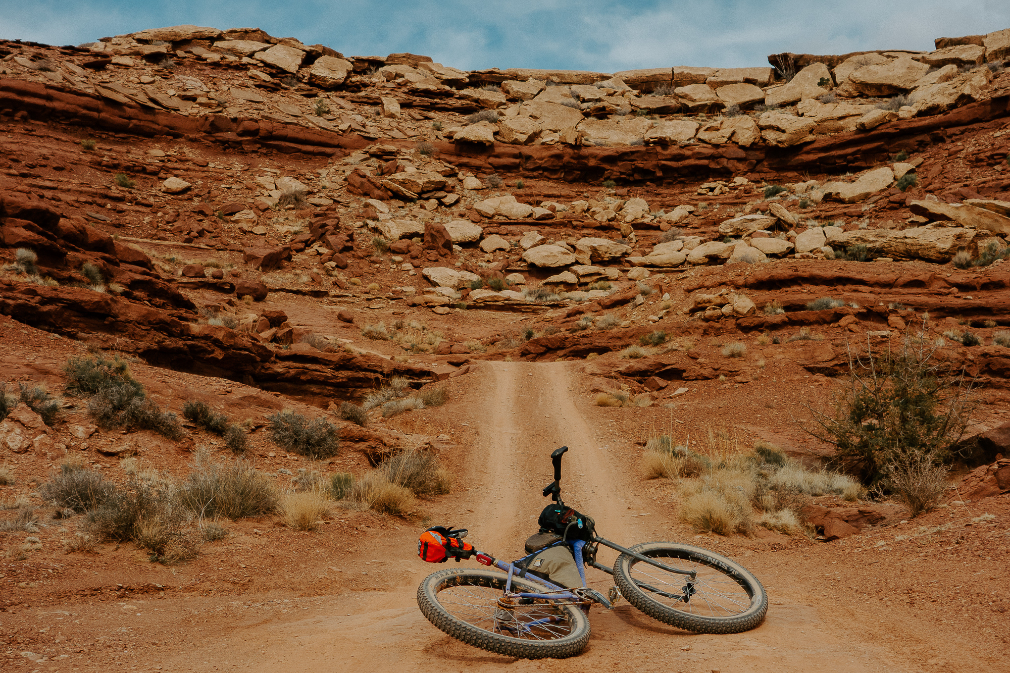 Introducing: The Radavist Edition Mosaic Cycles GT-2X – john