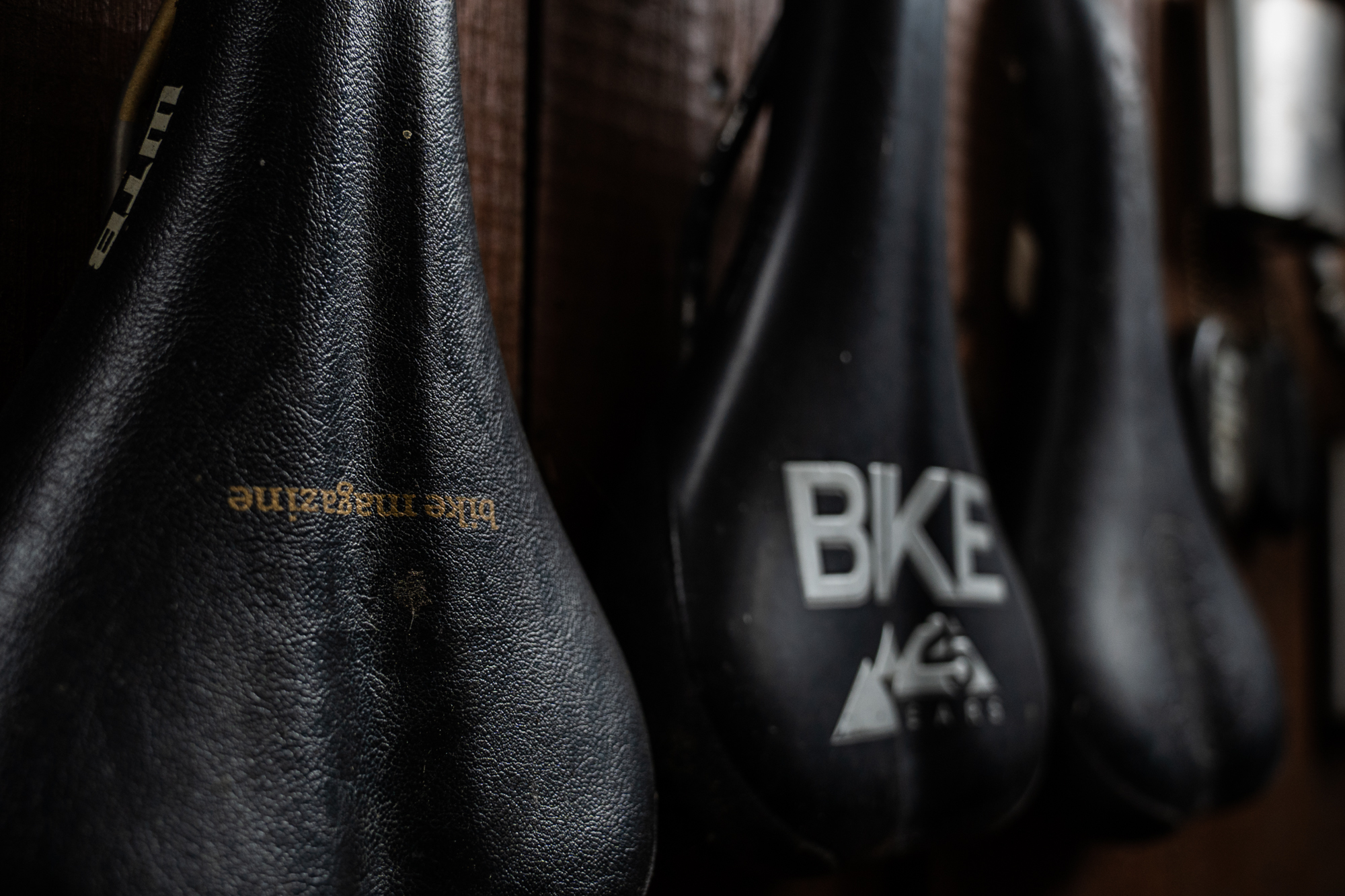 First Ride Review: Three New WTB Saddles – Solano, Solano SL, and